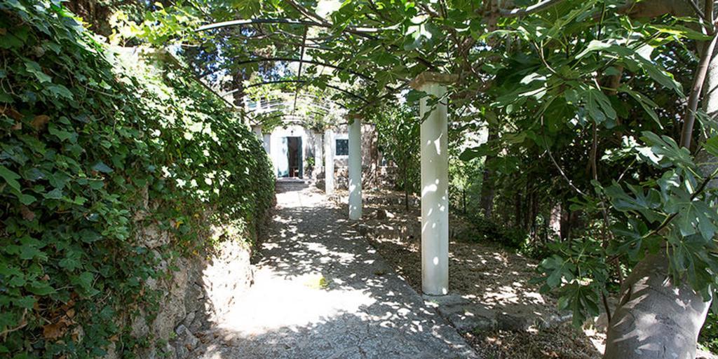 Son Niu Vell - La Hermossa Pensionat Valldemossa  Exteriör bild